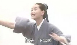 李文亮爆料图片搞笑视频,搞笑视频引网友爆笑狂欢